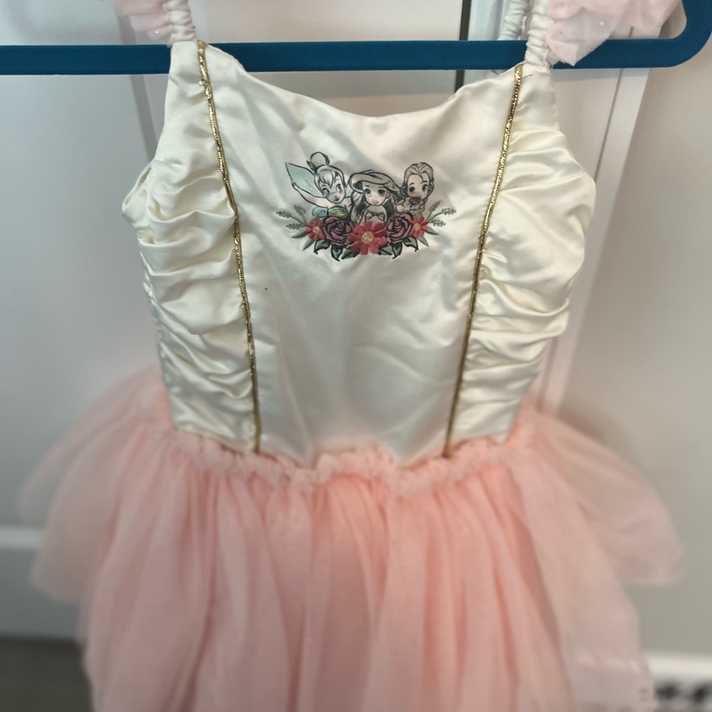 Disney princess dress/leo